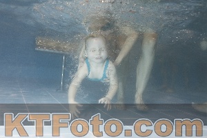Photo 4206768