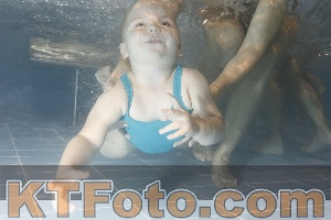 Photo 4206770