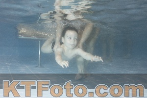 Photo 4206772