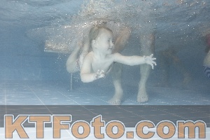 Photo 4206775