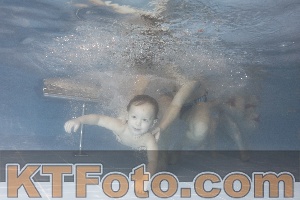 Photo 4206777