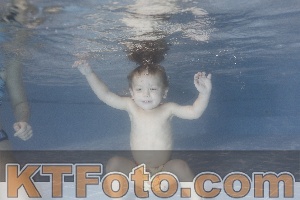 Photo 4206798