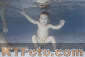 Photo 4206799