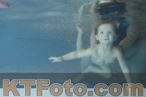 Photo 4206920