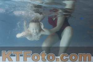 Photo 4206923