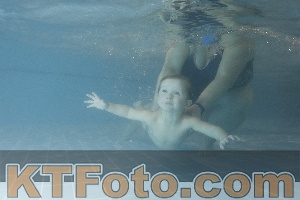 Photo 4206932
