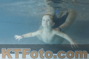 Photo 4206933