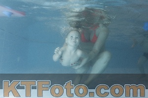 Photo 4206934