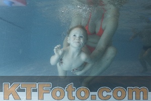 Photo 4206935
