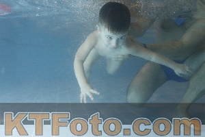 Photo 4206937