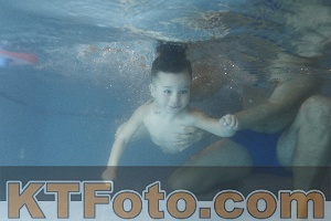Photo 4206940