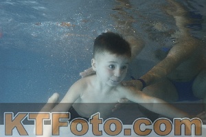 Photo 4206942