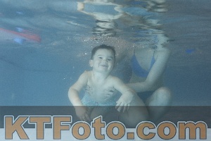 Photo 4206943