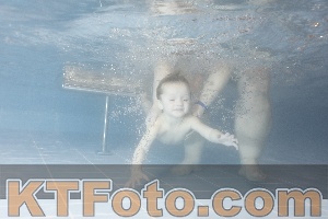 Photo 4206944