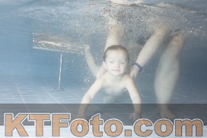 Photo 4206945