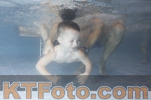 Photo 4206947