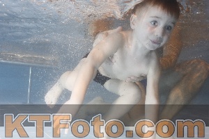 Photo 4206949