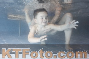 Photo 4206950