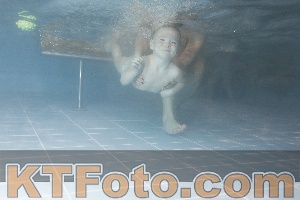 Photo 4206952