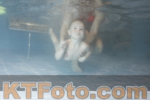 Photo 4206953