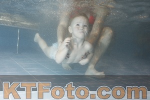 Photo 4206954