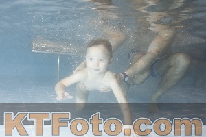 Photo 4206958