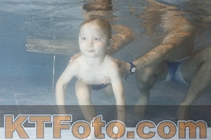 Photo 4206959