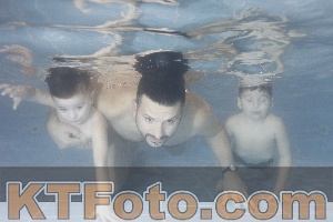 Photo 4206989