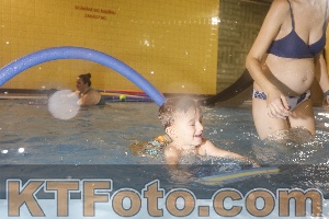 Photo 4207065