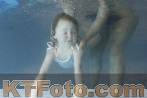 Photo 4207088