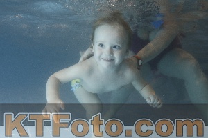 Photo 4207092