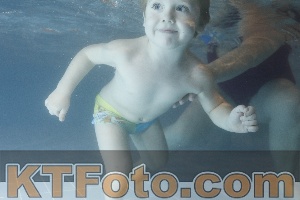 Photo 4207093