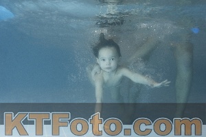 Photo 4207096