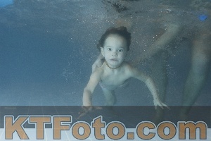 Photo 4207097