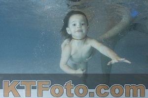 Photo 4207098