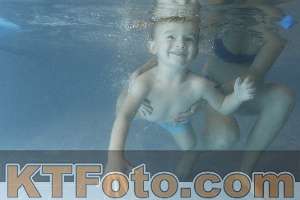 Photo 4207108