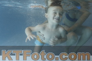 Photo 4207109