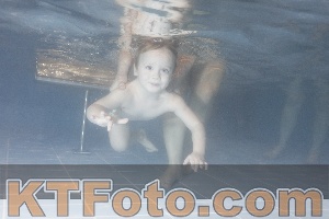 Photo 4207111