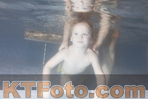 Photo 4207113