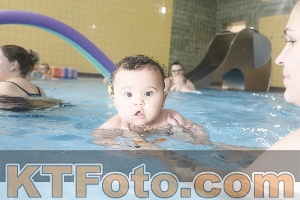 Photo 4207196