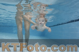 Photo 4207207