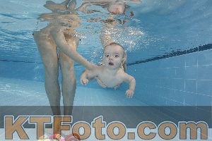 Photo 4207208