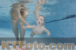 Photo 4207209