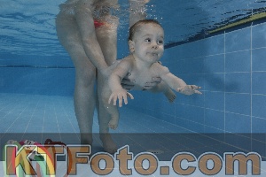Photo 4207212