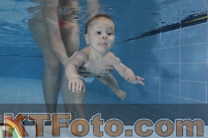 Photo 4207213