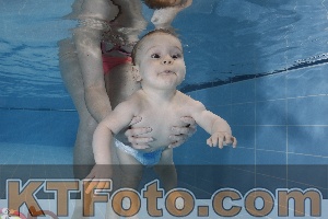 Photo 4207214