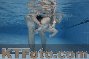 Photo 4207220