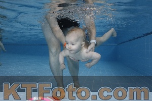 Photo 4207221