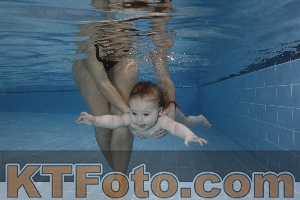 Photo 4207225