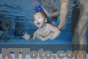 Photo 4207227